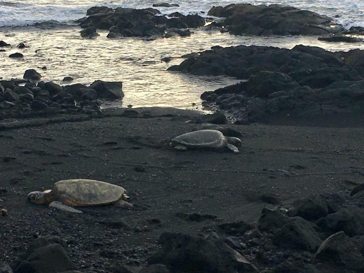 Mauna Kai'Iki Pahala Exterior foto